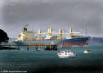 ID 3489 TASMAN CHIEF (1992/18391grt/IMO 9007374, ex-CHENAN, ANDES CHALLENGER. Renamed PACIFIC DISCOVERER then CHENAN) rounding North Head inbound to Auckland, NZ.